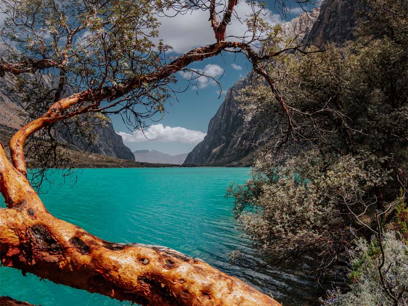 Valoración económica ambiental