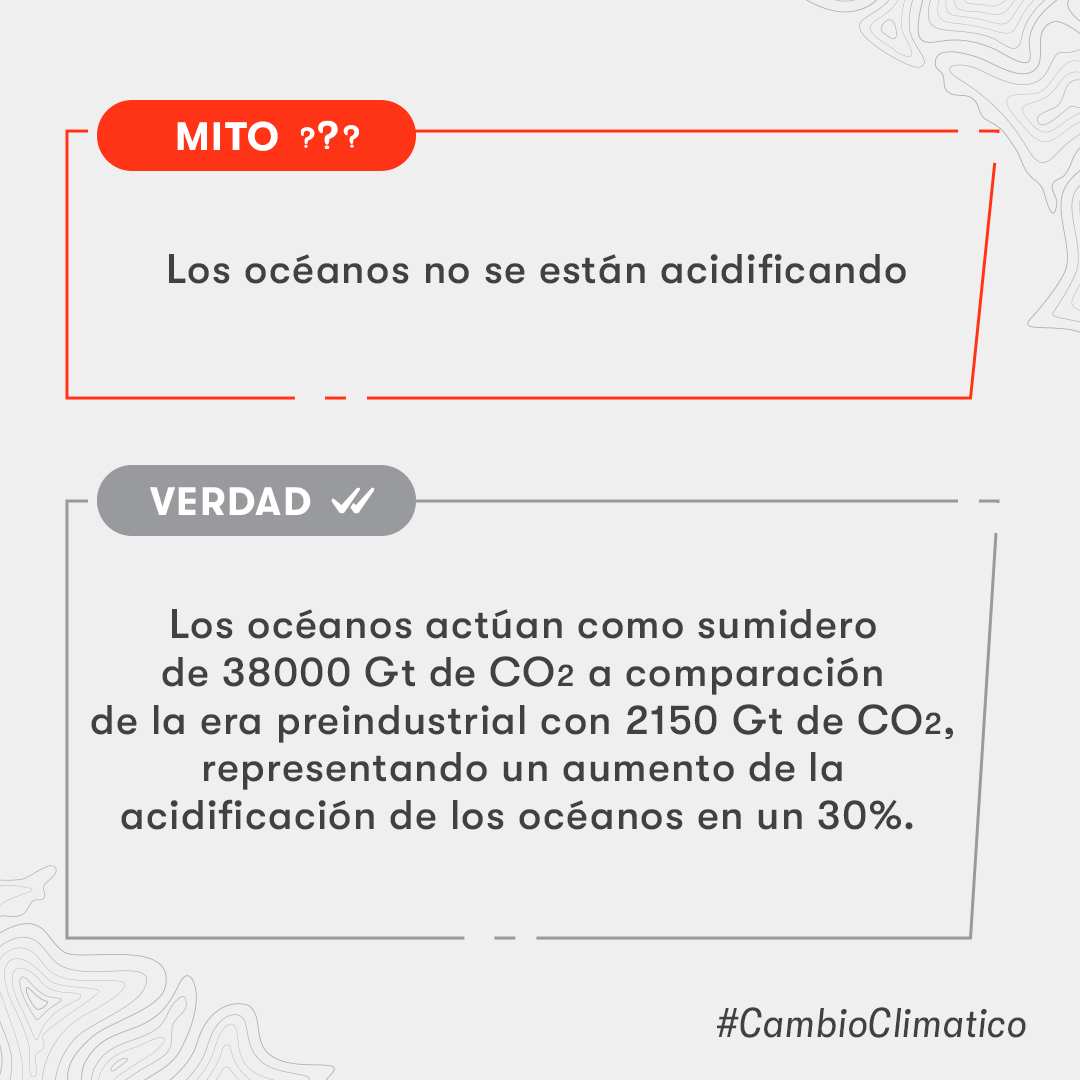 Los océanos no están acidificando