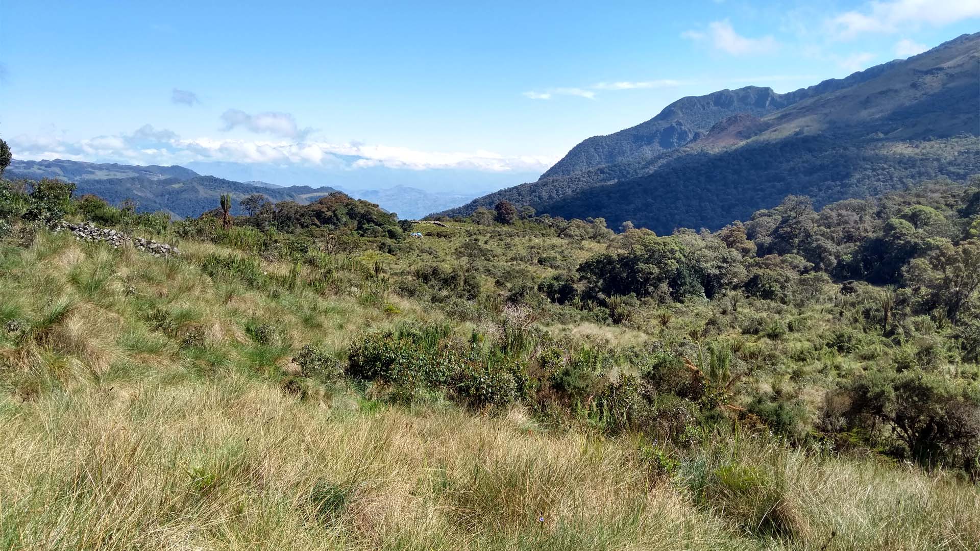 Consejos para reducir nuestra huella ecológica